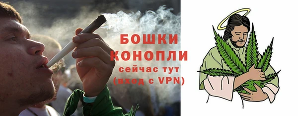кокс Богородицк