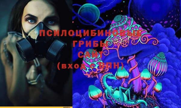 a pvp Богородск