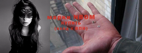 кокс Богородицк