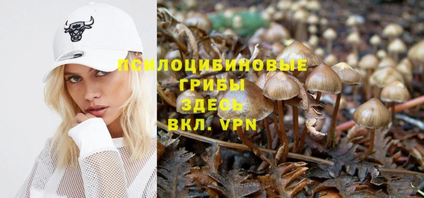 a pvp Богородск