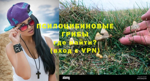 кокс Богородицк
