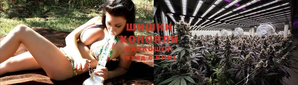 мескалин Богданович