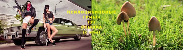 мескалин Богданович