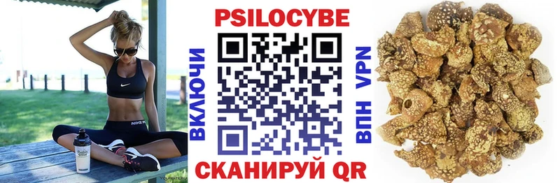 Галлюциногенные грибы Cubensis  Купить где  Сычёвка 
