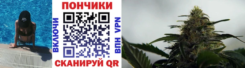 Бошки Шишки марихуана Сычёвка